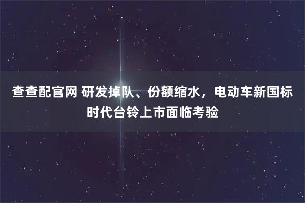 查查配官网 研发掉队、份额缩水，电动车新国标时代台铃上市面临考验
