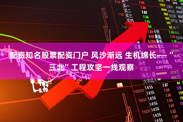 配资知名股票配资门户 风沙渐远 生机绵长——“三北”工程攻坚一线观察